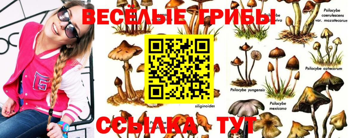 Кемерово  Галлюциногенные грибы ЛСД  Вход с VPN 